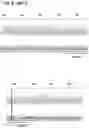 Fig. 11 - MAMMALIAN CELL LINES WITH GENE KNOCKOUT