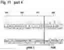 Fig. 30 - MAMMALIAN CELL LINES WITH GENE KNOCKOUT