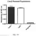 Fig. 49 - CONSTRUCTS AND METHODS FOR DELIVERING MOLECULES VIA VIRAL VECTORS WITH BLUNTED INNATE IMMUNE RESPONSES