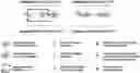 Fig. 01 - NUCLEIC ACID CONSTRUCTS FOR SIMULTANEOUS GENE ACTIVATION