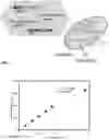 Fig. 02 - RECOMBINANT ENDOXYLANASES AND RELATED COMPOSITIONS AND METHODS OF USE