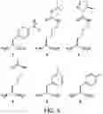 Fig. 06 - Evolution of tRNA synthetases