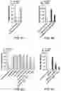 Fig. 10 - Evolution of tRNA synthetases
