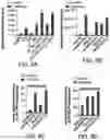 Fig. 16 - Evolution of tRNA synthetases