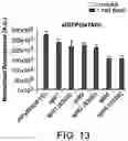 Fig. 22 - Evolution of tRNA synthetases