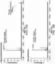 Fig. 24 - Evolution of tRNA synthetases