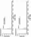 Fig. 25 - Evolution of tRNA synthetases