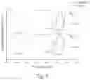 Fig. 04 - Peptide for complexing zinc ion, complex thereof and use therefor