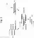Fig. 04 - Compositions and methods for enriching populations of nucleic acids