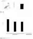 Fig. 07 - ULTRASENSITIVE METHOD FOR DETECTING CELL DEATH