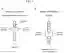 Fig. 02 - COMBINED MULTIPLE-DISPLACEMENT AMPLIFICATION AND PCR IN AN EMULSION MICRODROPLET