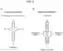 Fig. 03 - COMBINED MULTIPLE-DISPLACEMENT AMPLIFICATION AND PCR IN AN EMULSION MICRODROPLET