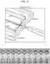 Fig. 13 - COMBINED MULTIPLE-DISPLACEMENT AMPLIFICATION AND PCR IN AN EMULSION MICRODROPLET