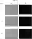 Fig. 17 - COMBINED MULTIPLE-DISPLACEMENT AMPLIFICATION AND PCR IN AN EMULSION MICRODROPLET