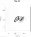 Fig. 24 - COMBINED MULTIPLE-DISPLACEMENT AMPLIFICATION AND PCR IN AN EMULSION MICRODROPLET