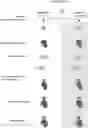 Fig. 01 - ANALYSIS OF CRISPR-CAS BINDING AND CLEAVAGE SITES FOLLOWED BY HIGH-THROUGHPUT SEQUENCING (ABC-SEQ)