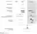 Fig. 05 - ANALYSIS OF CRISPR-CAS BINDING AND CLEAVAGE SITES FOLLOWED BY HIGH-THROUGHPUT SEQUENCING (ABC-SEQ)