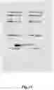 Fig. 19 - METHOD FOR PRODUCING RNA