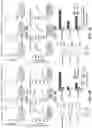 Fig. 07 - CRISPR EFFECTOR SYSTEM BASED MULTIPLEX DIAGNOSTICS