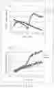 Fig. 05 - NUCLEIC ACID DETECTION METHOD AND ASSAY KIT