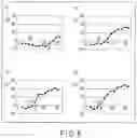 Fig. 07 - NUCLEIC ACID DETECTION METHOD AND ASSAY KIT