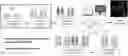 Fig. 01 - METHODS FOR MULTIPLEX DETECTION OF NUCLEIC ACIDS BY IN SITU HYBRIDIZATION