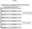 Fig. 06 - System and Methods for Detection of Low-Copy Number Nucleic Acids and Protein