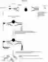 Fig. 10 - System and Methods for Detection of Low-Copy Number Nucleic Acids and Protein