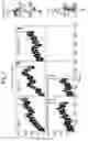 Fig. 06 - Mutant pore