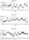 Fig. 20 - Mutant pore