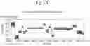 Fig. 23 - Mutant pore