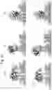 Fig. 25 - Mutant pore