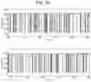 Fig. 27 - Mutant pore