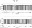 Fig. 29 - Mutant pore