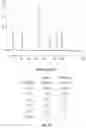 Fig. 04 - Systems and processes for distinguishing pathogenic and non-pathogenic sequences from specimens