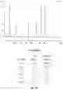 Fig. 05 - Systems and processes for distinguishing pathogenic and non-pathogenic sequences from specimens