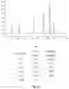 Fig. 10 - Systems and processes for distinguishing pathogenic and non-pathogenic sequences from specimens