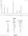 Fig. 15 - Systems and processes for distinguishing pathogenic and non-pathogenic sequences from specimens
