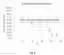 Fig. 16 - Systems and processes for distinguishing pathogenic and non-pathogenic sequences from specimens