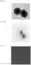 Fig. 13 - Compositions and methods for nucleic acid sequencing