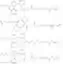 Fig. 81 - Compositions and methods for nucleic acid sequencing