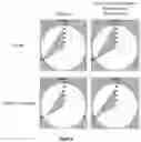Fig. 09 - PROCESS FOR IDENTIFYING A STRESS STATE AND/OR FOR ASSESSING THE STRESS RESPONSE LEVEL IN A SUBJECT