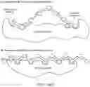 Fig. 41 - IDENTIFICATION OF NEOANTIGENS WITH MHC CLASS II MODEL