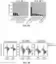 Fig. 18 - DETECTION MEANS, COMPOSITIONS AND METHODS FOR MODULATING SYNOVIAL SARCOMA CELLS