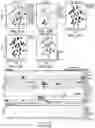 Fig. 24 - DETECTION MEANS, COMPOSITIONS AND METHODS FOR MODULATING SYNOVIAL SARCOMA CELLS