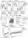 Fig. 30 - DETECTION MEANS, COMPOSITIONS AND METHODS FOR MODULATING SYNOVIAL SARCOMA CELLS