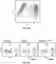 Fig. 32 - DETECTION MEANS, COMPOSITIONS AND METHODS FOR MODULATING SYNOVIAL SARCOMA CELLS