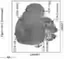 Fig. 07 - DETERMINATION OF CYTOTOXIC GENE SIGNATURE AND ASSOCIATED SYSTEMS AND METHODS FOR RESPONSE PREDICTION AND TREATMENT