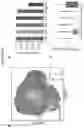 Fig. 09 - DETERMINATION OF CYTOTOXIC GENE SIGNATURE AND ASSOCIATED SYSTEMS AND METHODS FOR RESPONSE PREDICTION AND TREATMENT