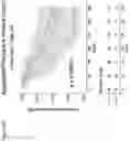 Fig. 32 - DETERMINATION OF CYTOTOXIC GENE SIGNATURE AND ASSOCIATED SYSTEMS AND METHODS FOR RESPONSE PREDICTION AND TREATMENT